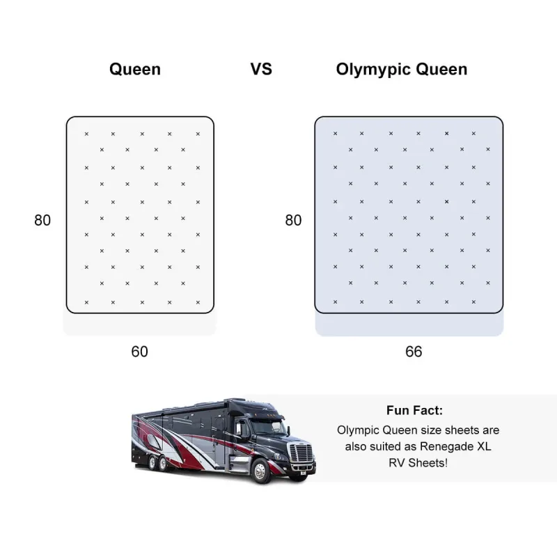Olympic Queen 100% Cotton 600 Thread Count Sheets Solid